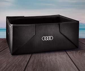 Audi Summer Check Audi Easy Service