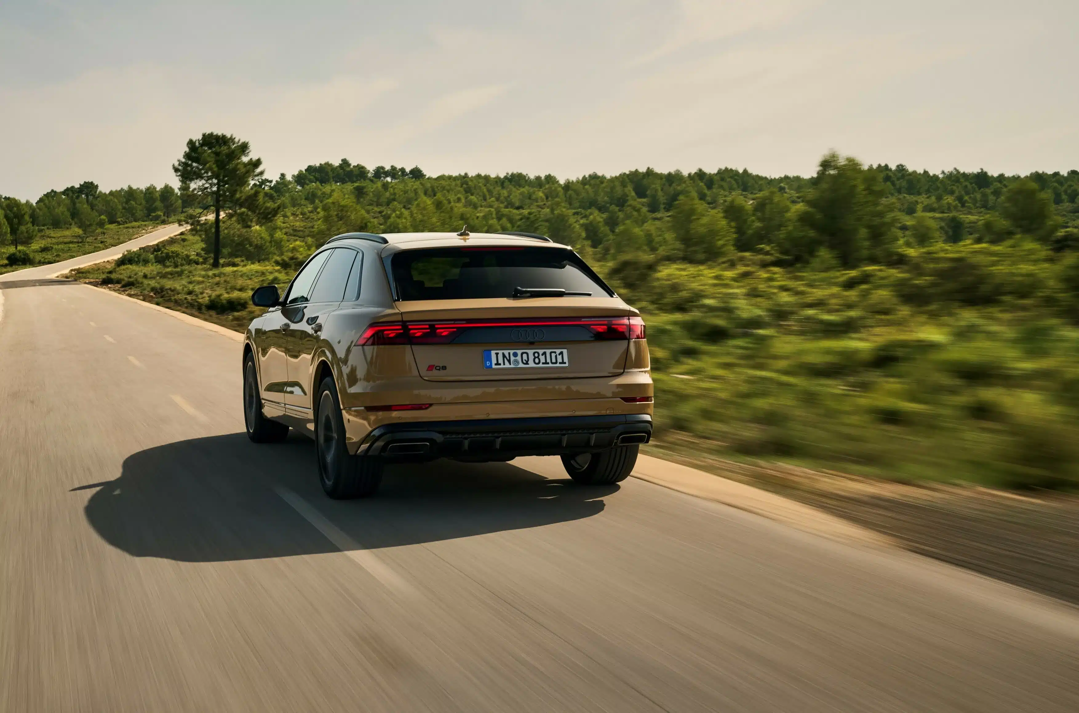 Audi Q8 Audi Q8 Restyling 2024